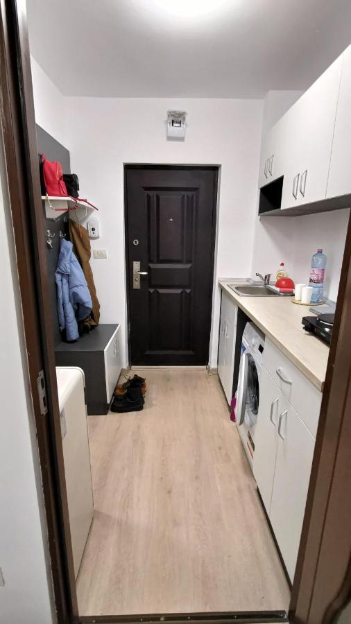 Garsoniera 30Mp Chrysflatty1 - Free Netflix Apartment Arad Ngoại thất bức ảnh
